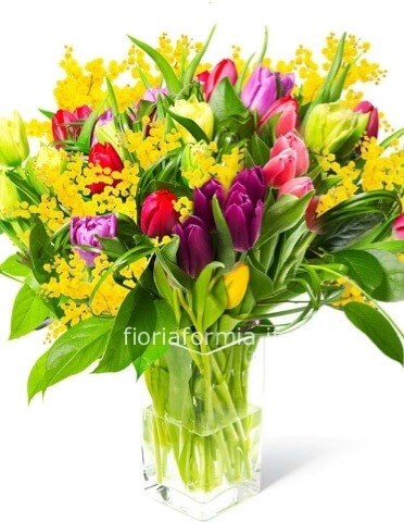 Rose Blu » Fiorista consegna fiori e piante a domicilio a Gaeta. Acquisto e  invio online di fiori a Gaeta e Formia.